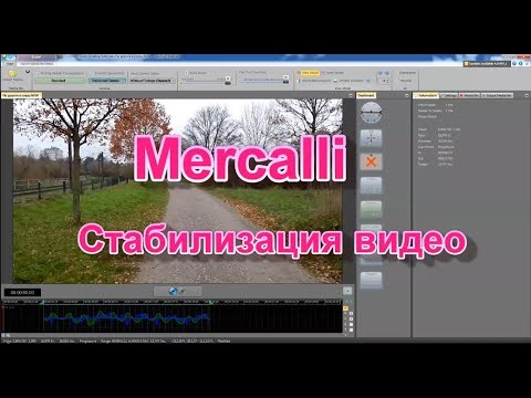 ProDAD Mercalli V4 Plugins For Adobe 4.0.278.1 + Serial Key